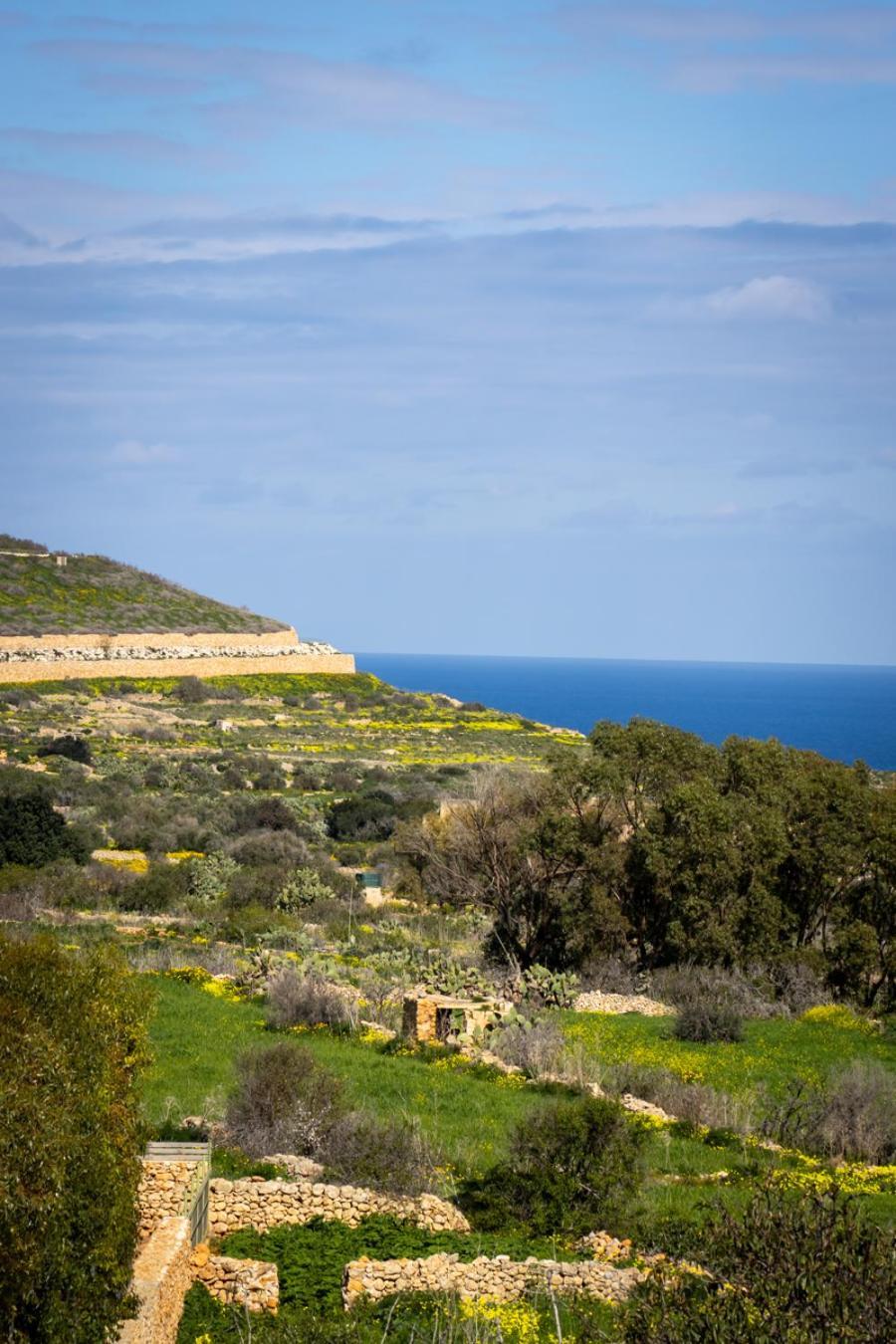 Il Figolla B&B Xagħra Екстериор снимка